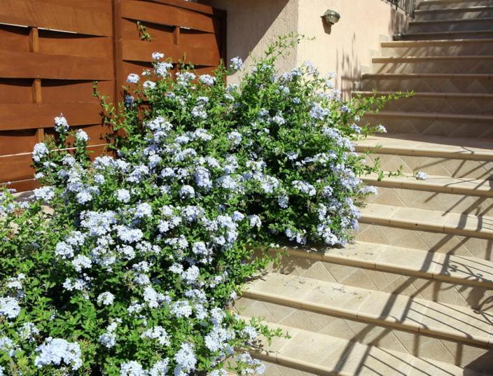 Provenzo And Meliti Villas Lurdáta Kültér fotó